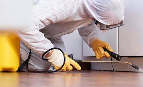 Emergency Pest Control Services in Calumet City, IL